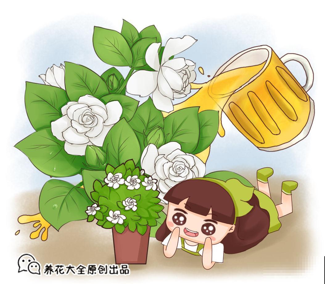 啤酒养花，兑点水就能用，网友：比买的肥料好使