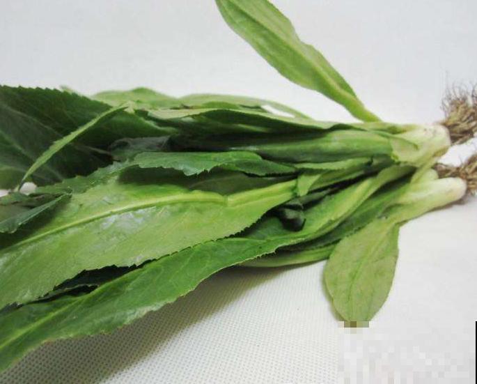 原来香菜也有野生的，长得比野草茂盛，薅一把煲汤鲜香美味！