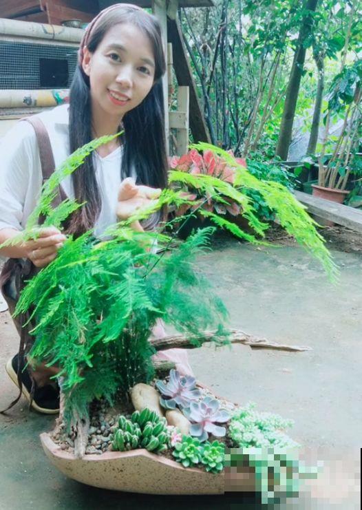 为了养花，她跑到海南，用10年把荒岛变花园！