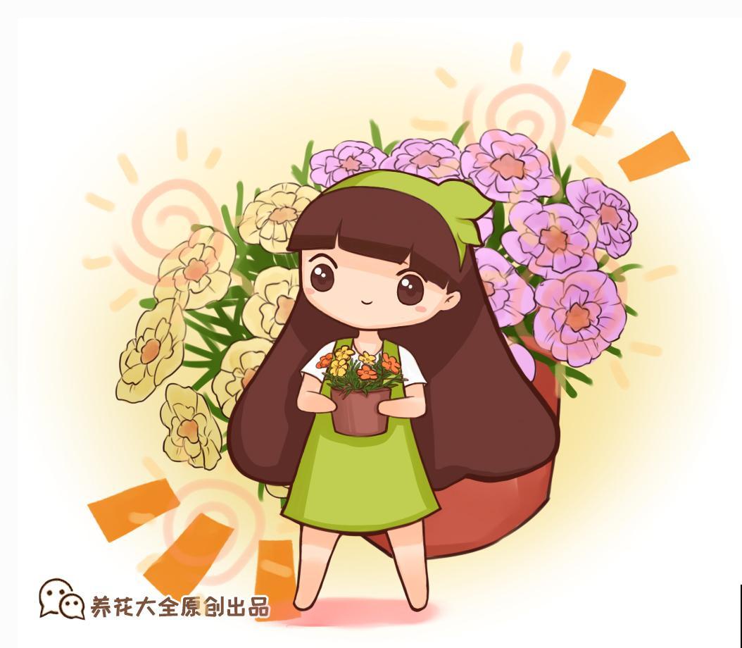 2种花，天气越冷越爱开花，阳台上养1盆，一个月就爆盆
