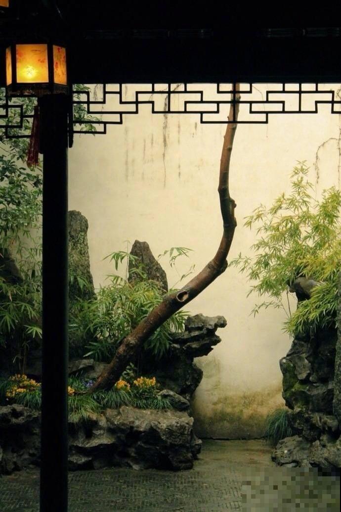 许我一片荒地，还你一园芳草，陪你养花到老！