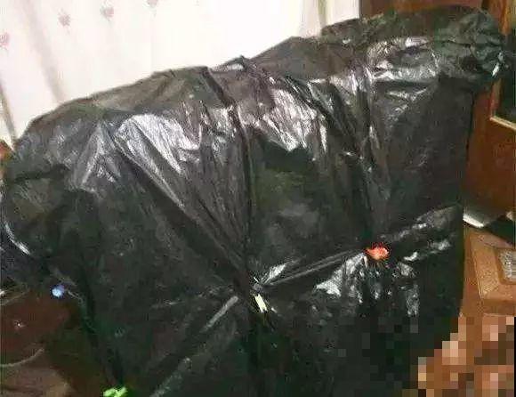 他家的蟹爪兰，一到冬天开成大花树，到底喂了啥好东西！