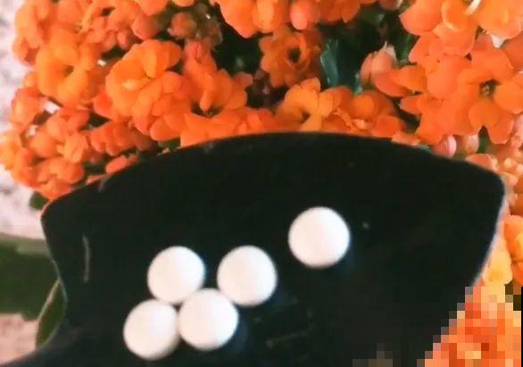 这6种养花宝贝家家有，用对了，杀虫还能防烂根！