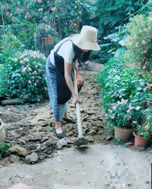 为了养花，她跑到海南，用10年把荒岛变花园！