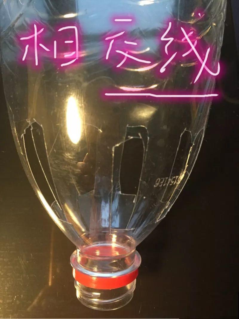 1根绳子泡水里，1个月不浇水也没事，蝴蝶兰10年不烂根！