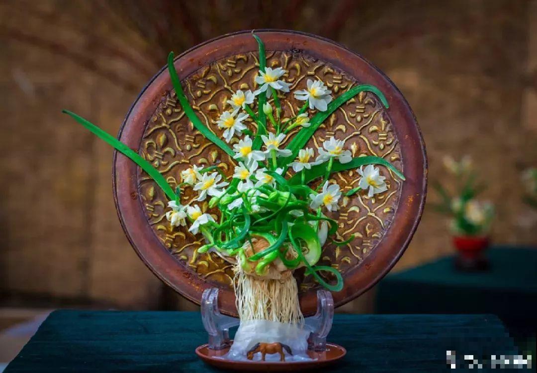 这6种花现在养，一个月后就开花，红红火火过新年！