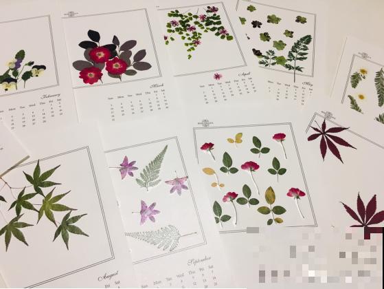 花瓣叶子摘下来，烘干后压一压，就能变成画！
