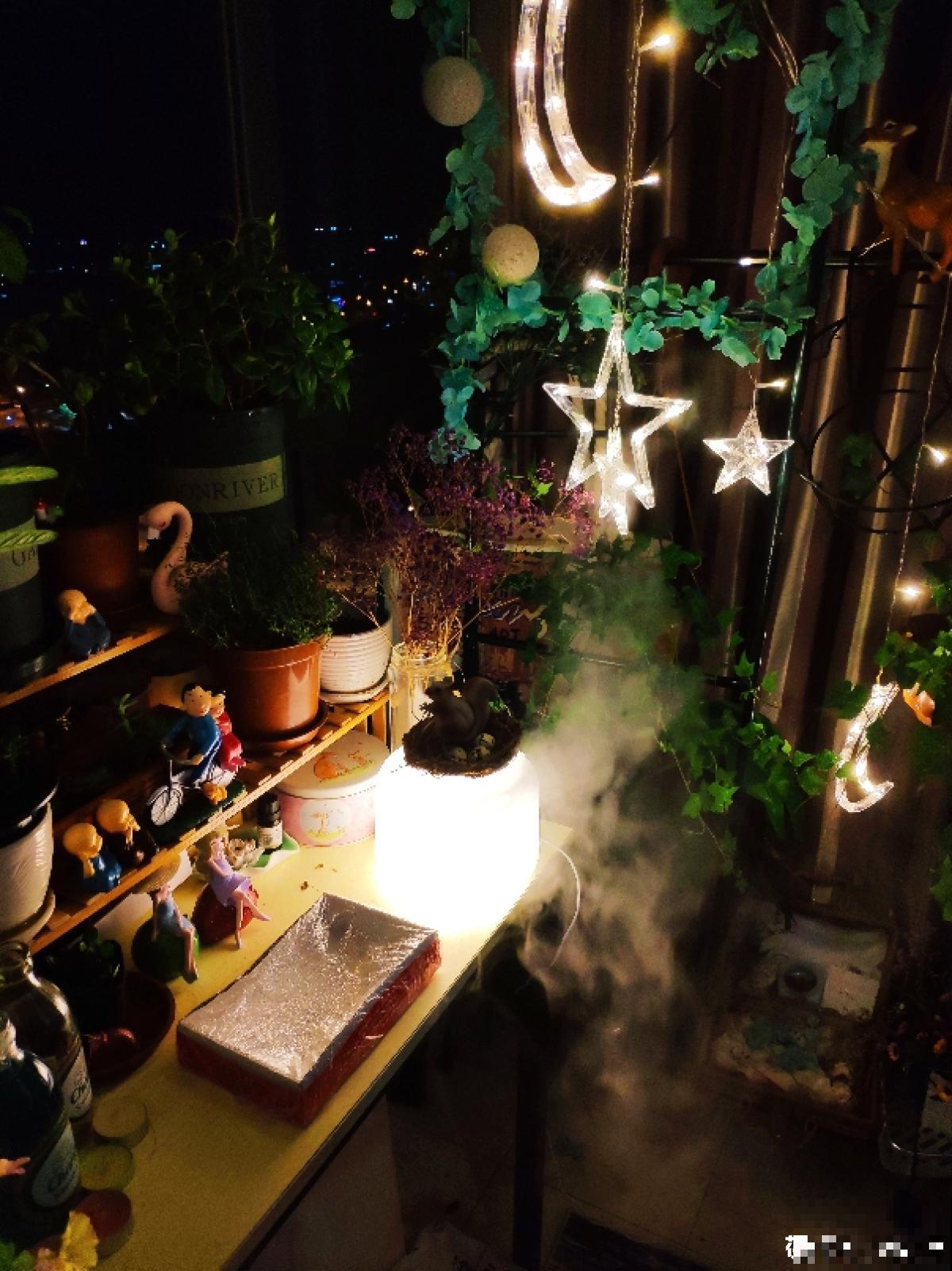 大冬天养花，用喷壶和风扇，花居然长得特别旺！