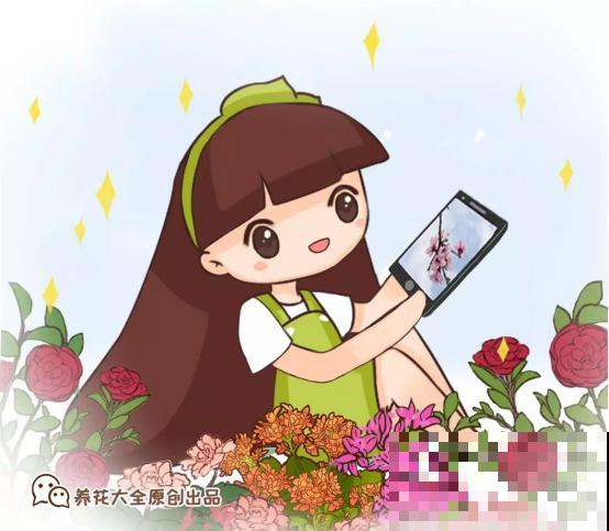 养花这么拍照，发朋友圈，谁看了都点赞！