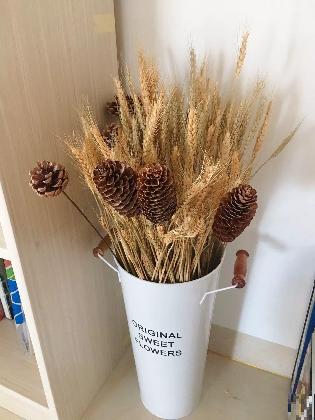 路边野草拽一把，插在瓶里，全家人都喜欢！