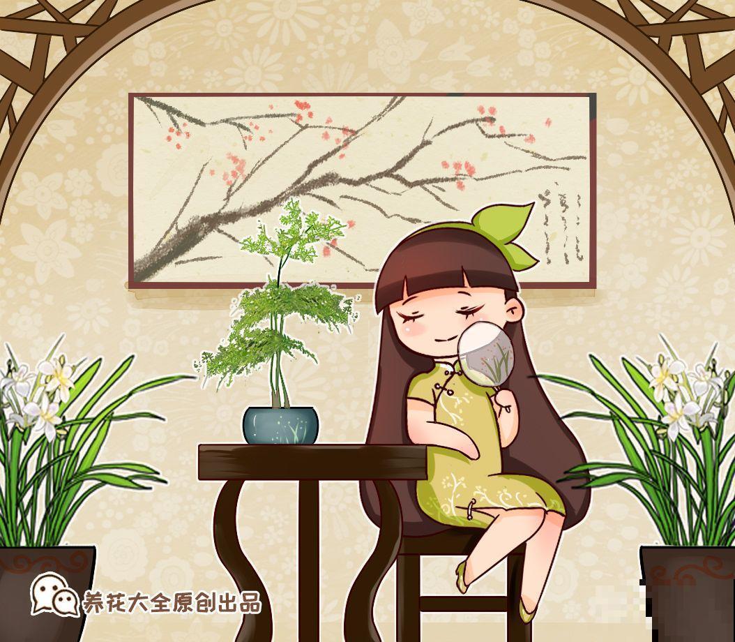4种不同风格的花，谁见了都爱养，各有各的气质！