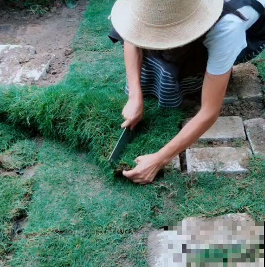 为了养花，她跑到海南，用10年把荒岛变花园！