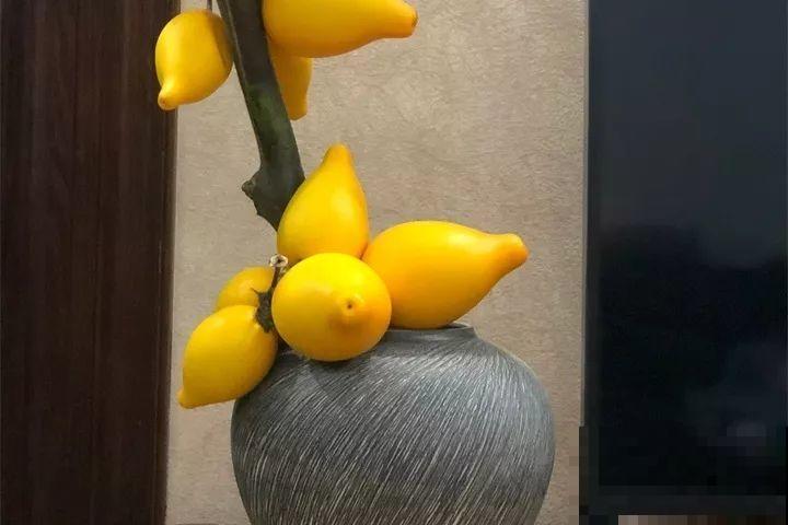 客厅养花不能看心情，注意这两大忌，选对了全家受益！