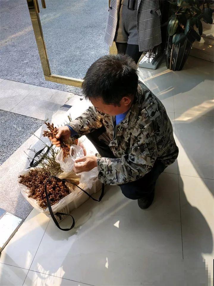 赶集碰见这种花，一买就上当，决不能贪便宜！