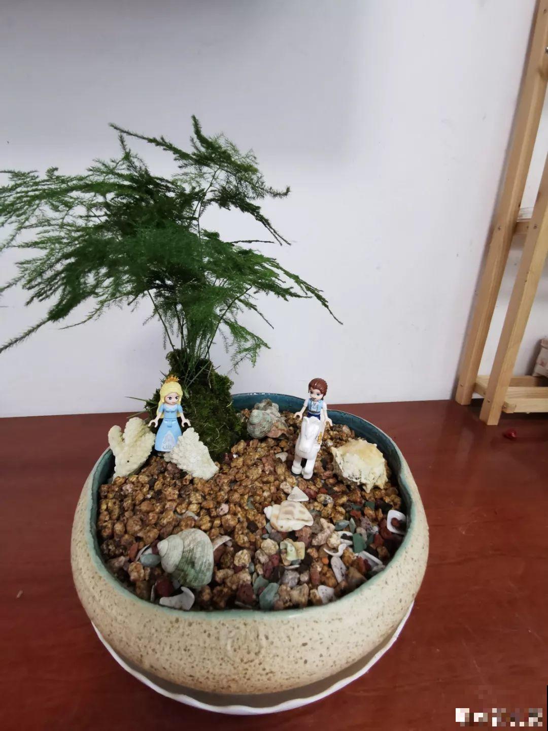 阳台再小也不怕，跟她学一招，把花挂起来养，不占地还好看！