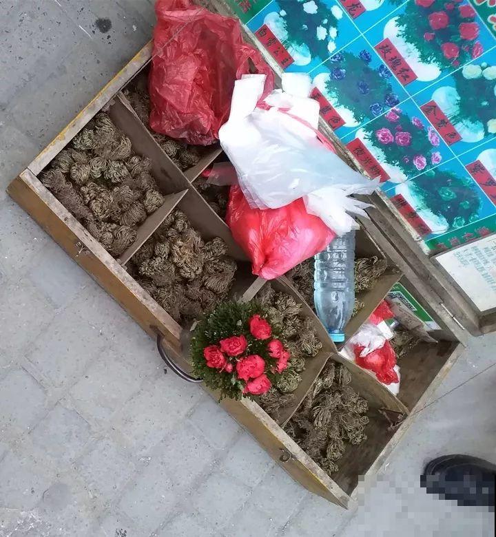 看见这花可别买，忍住，小心被忽悠，花钱买气受！