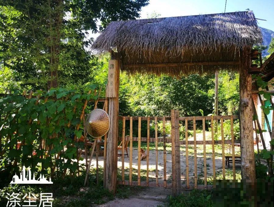 爱养花的人，就想有个小院子，喝茶赏花，过平静的日子！