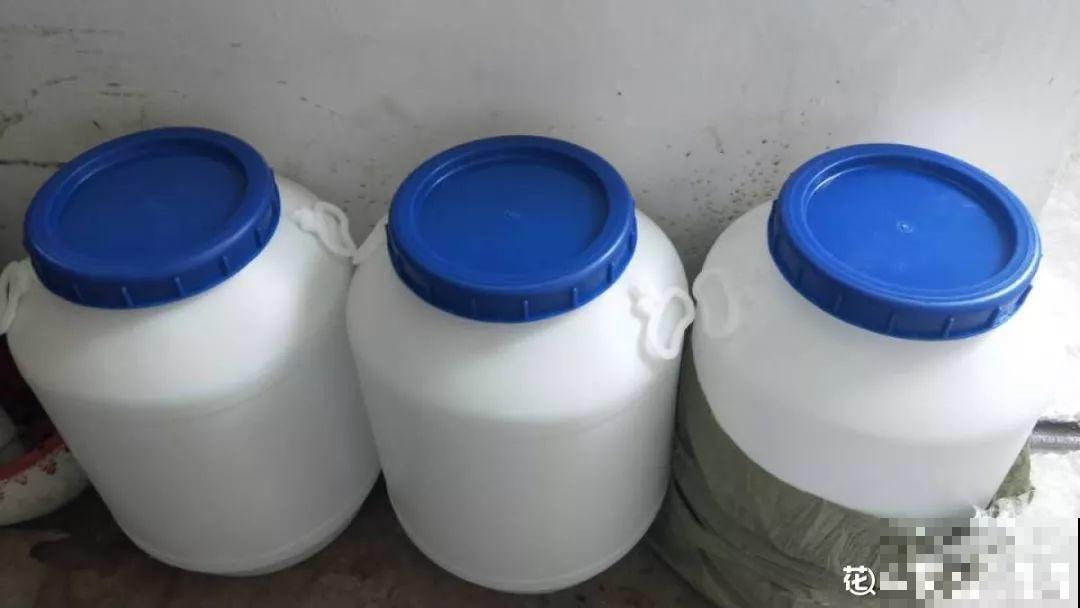 有了这4种肥料，三角梅长得壮壮的，一年能开好几茬！