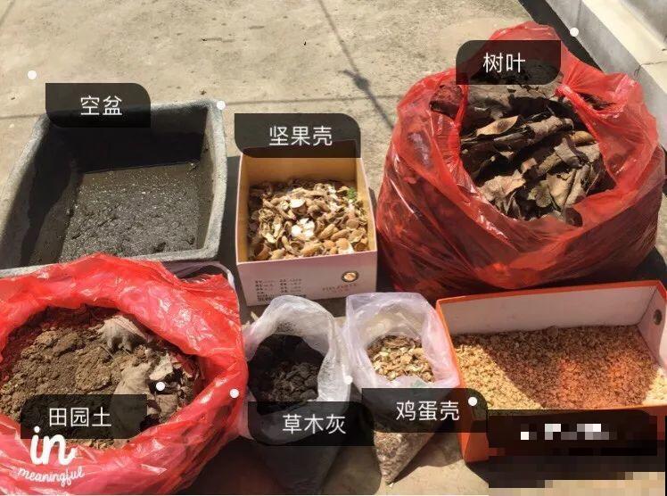 淘米水里加上它，没有异味肥效翻倍，给花用点叶子绿油油！