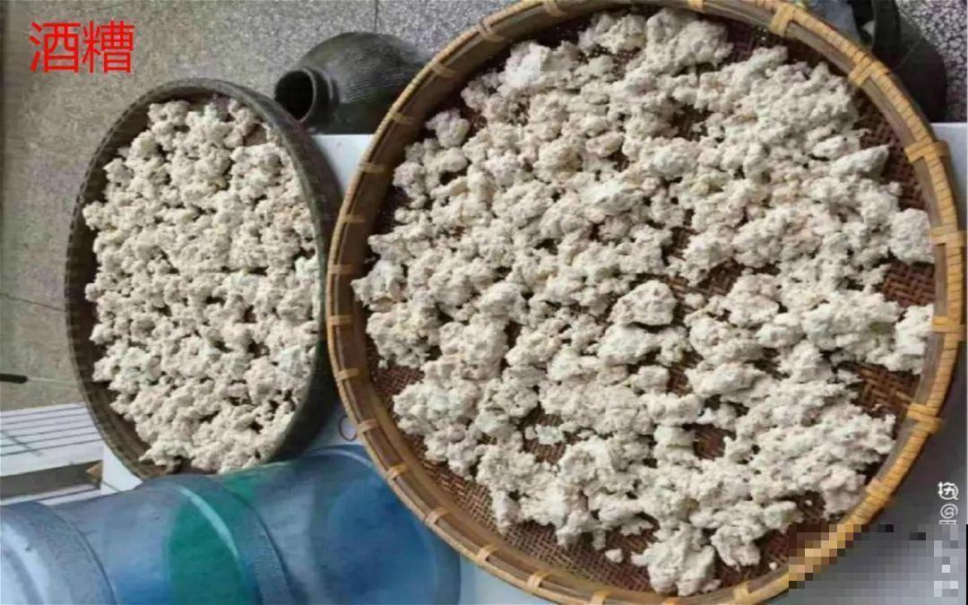 淘米水里加上它，没有异味肥效翻倍，给花用点叶子绿油油！