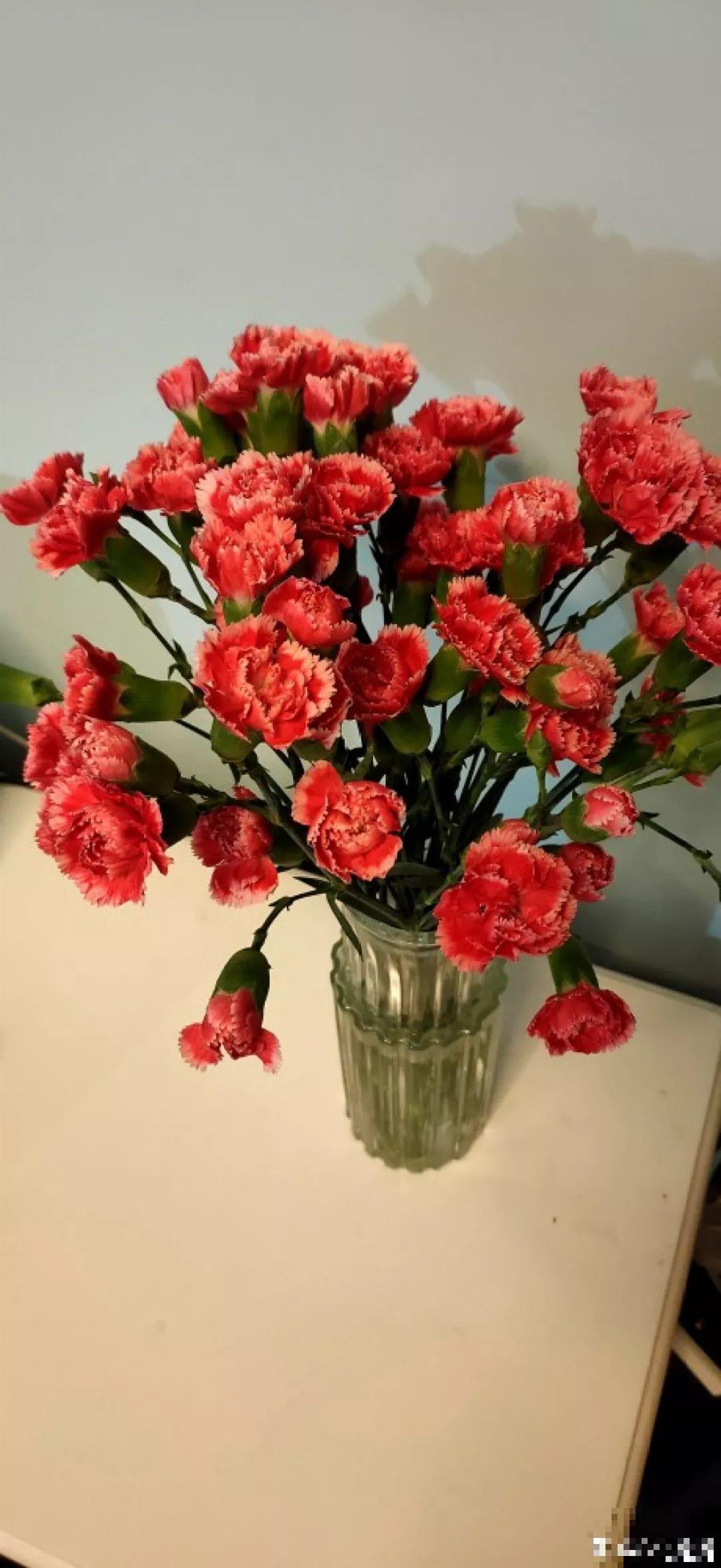 14种香水花，家里摆一盆，满屋子都是香味！