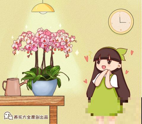 家里养棵守家树，生活顺风顺水，日子红红火火！