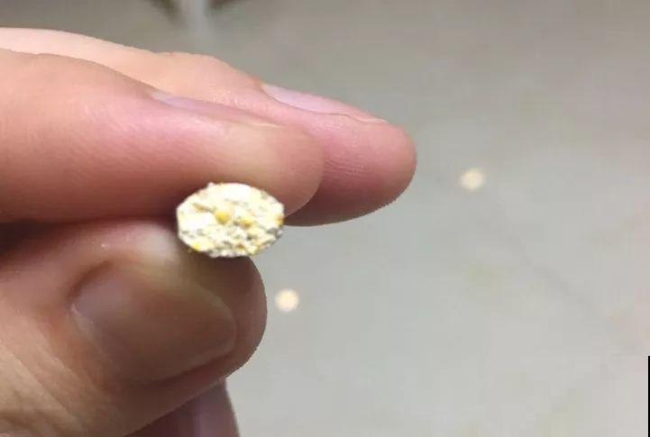 这6种养花宝贝家家有，用对了，杀虫还能防烂根！