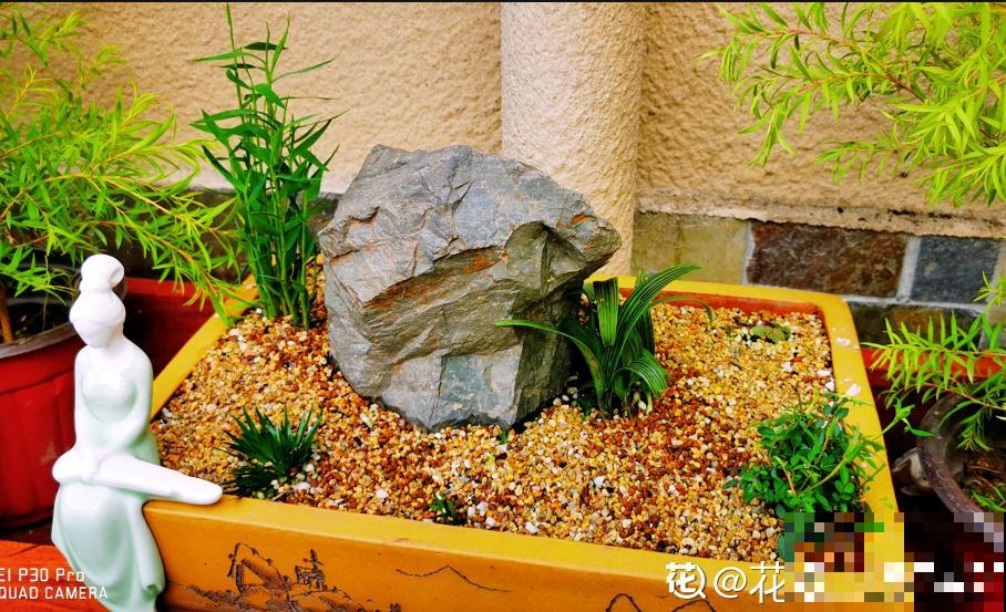 路边的石头野草捡回家，摆在盘里就是盆景，看完你也会做！