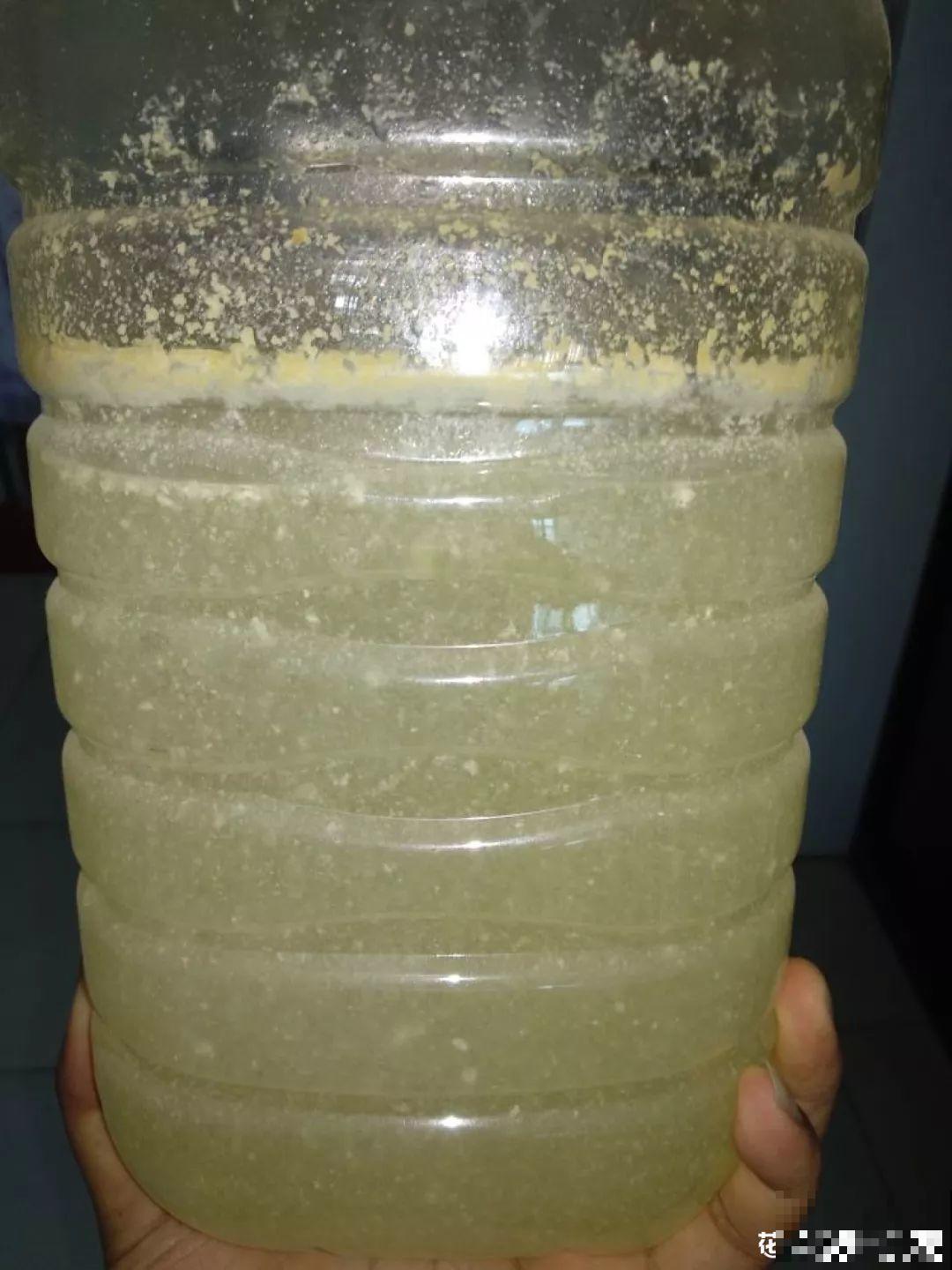 土里浇点它，专治小黑飞，虫子不招叶子绿油油！