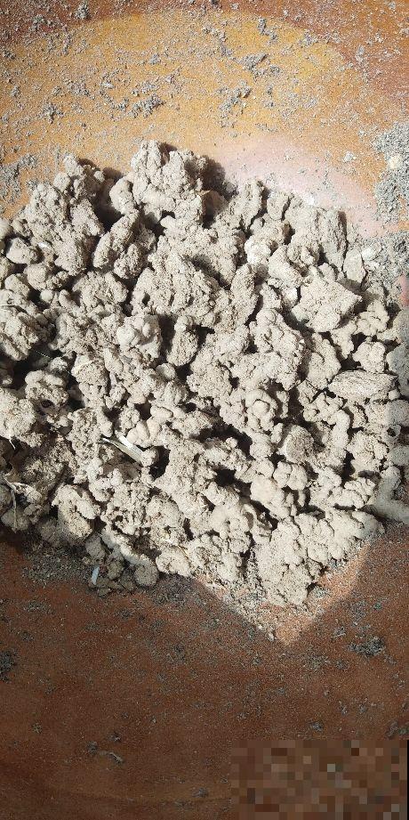 土里掺点它，养花10年不烂根，特透气