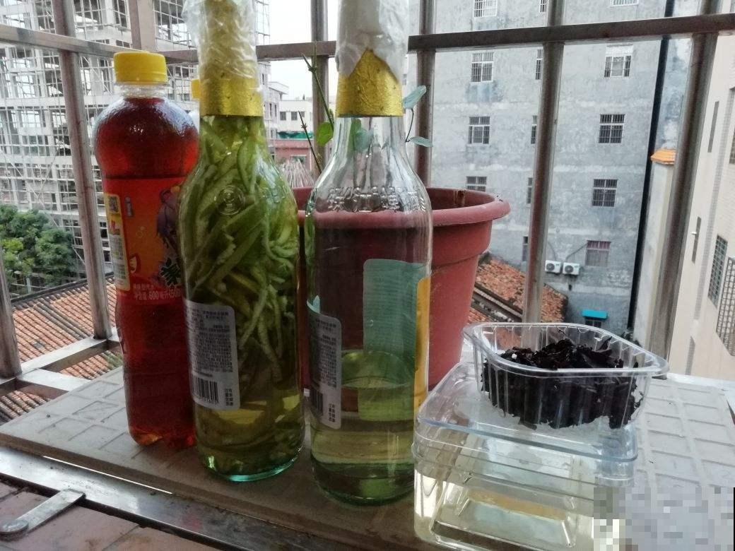 啤酒养花，兑点水就能用，网友：比买的肥料好使