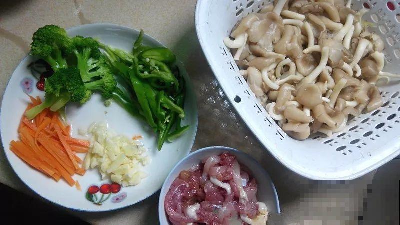 家里阳光差，试着养盆它，不但长的快还能吃！