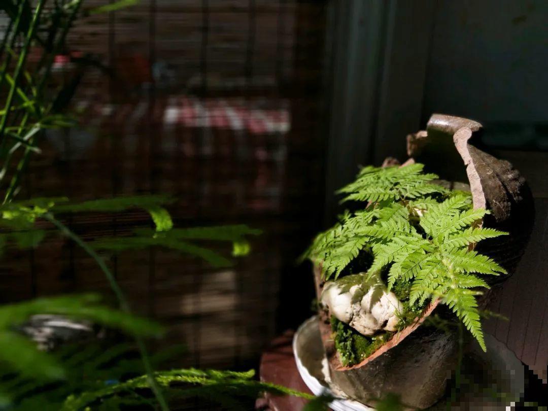 想养好花，就得付出劳动，从开花到结果，无一不是美的！