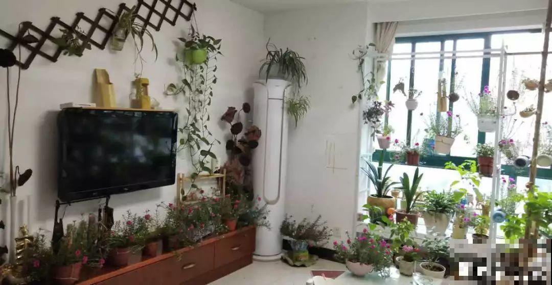 阳台再小也不怕，跟她学一招，把花挂起来养，不占地还好看！