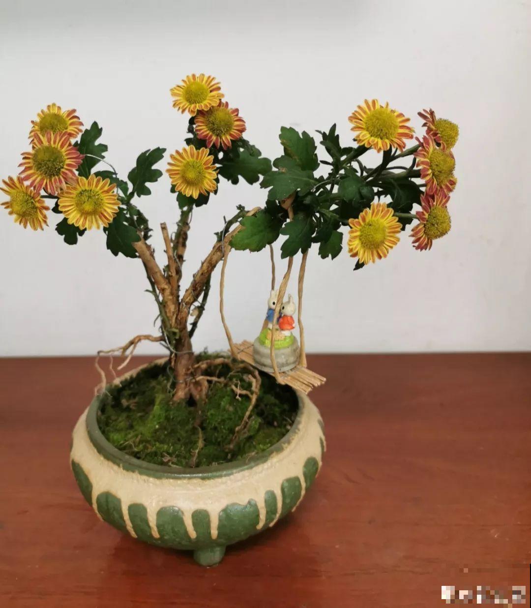 阳台再小也不怕，跟她学一招，把花挂起来养，不占地还好看！