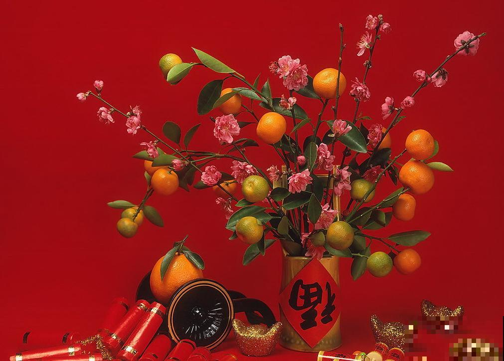 未来半个月，这6种花要涨价，人人抢着买！