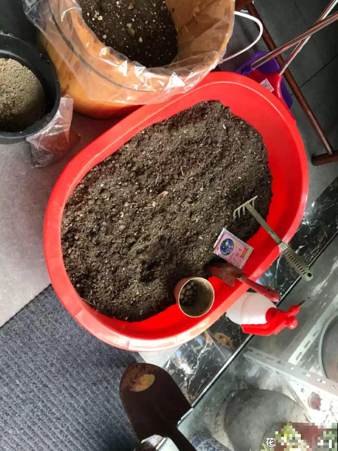 土里掺点它，旧土也能变肥土，花用了疯长不停！