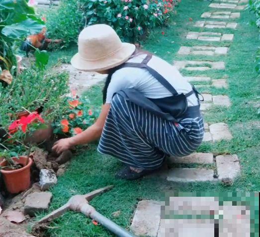 为了养花，她跑到海南，用10年把荒岛变花园！