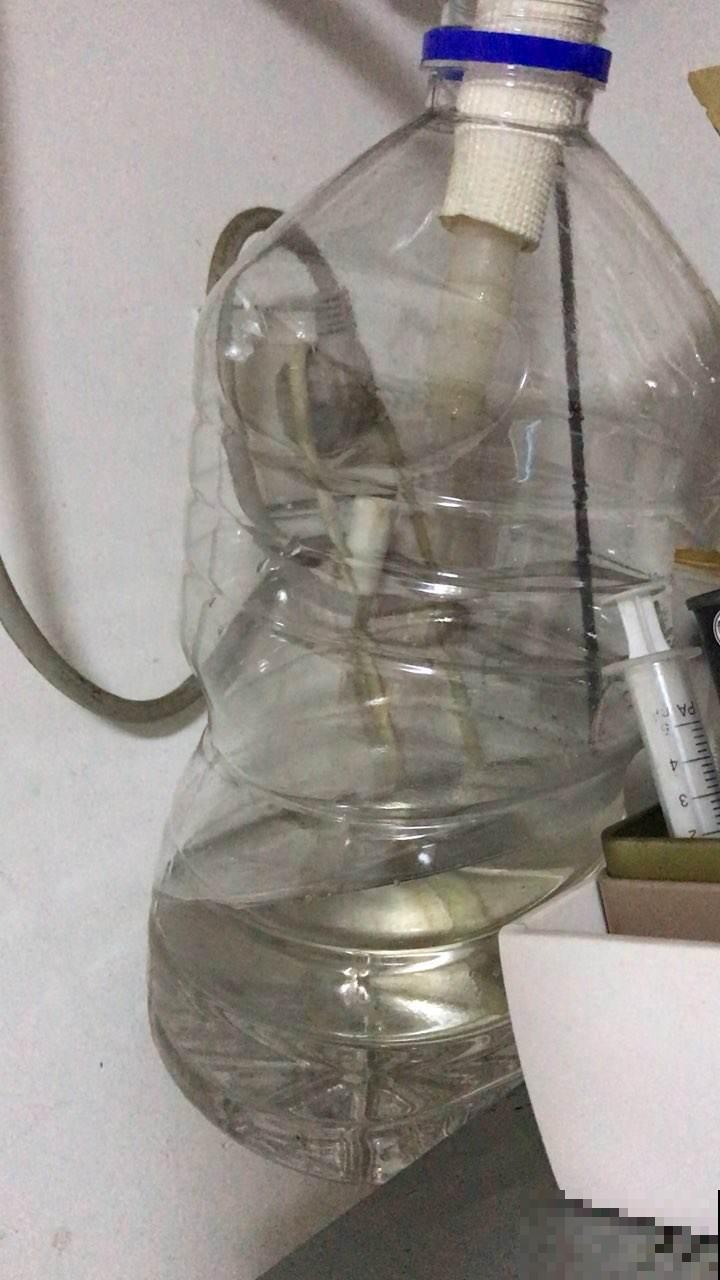 3种水，拿来养花最好使，还不用花钱