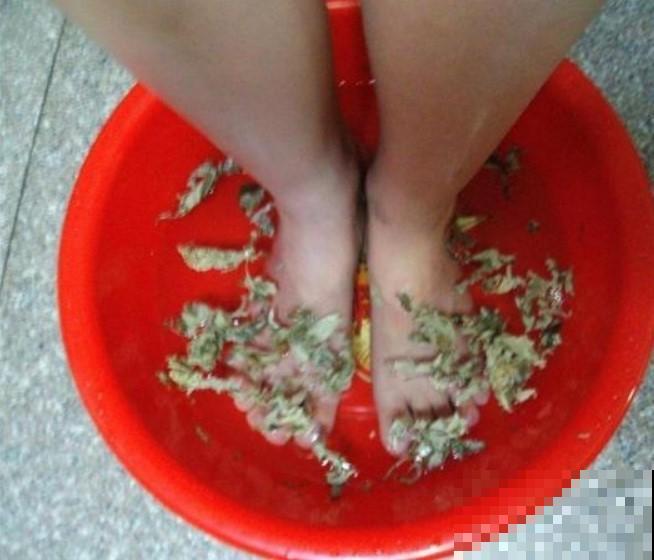 种植物哪来泡脚，效果是惊奇的好，不用真亏了！