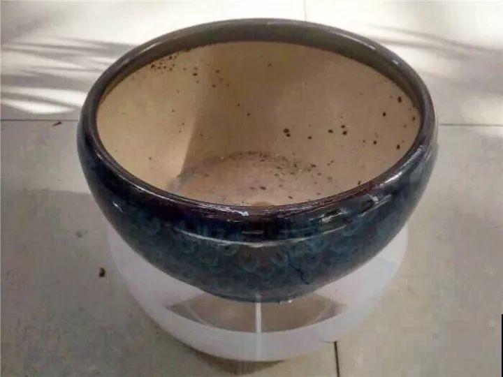 这种花盆要少用，稍微不注意，养花就容易黄叶烂根！