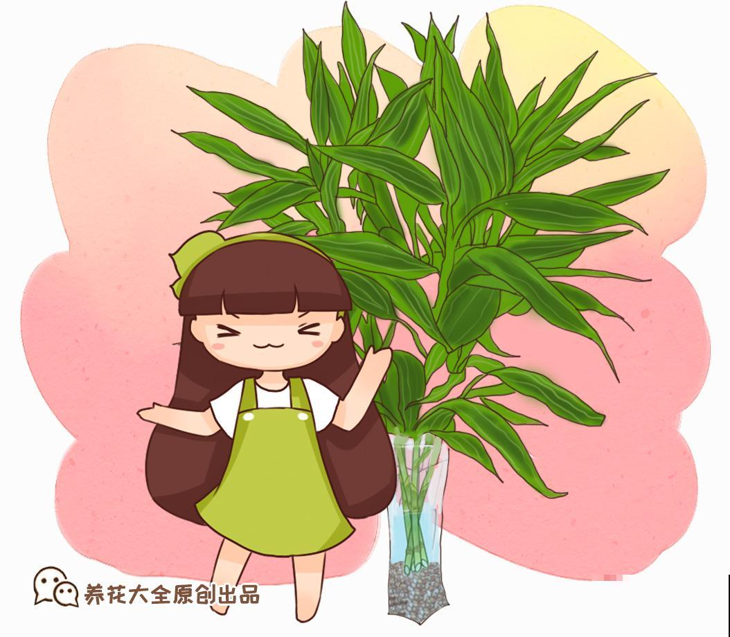 5种花特招财，家里养1盆、旺家又招财，日子越过越好！