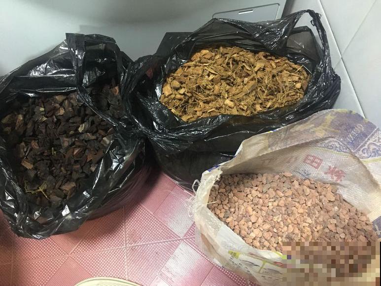养花不注意看这里，一浇水就烂根，叶子哗哗掉！