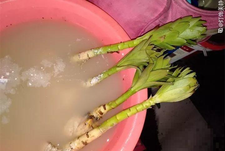 这6种养花宝贝家家有，用对了，杀虫还能防烂根！