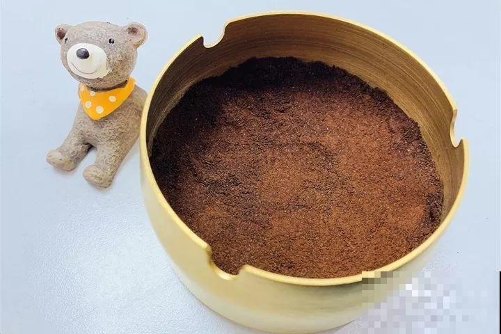 这东西不要钱，撒土里花蹭蹭长，放卫生间能除异味！