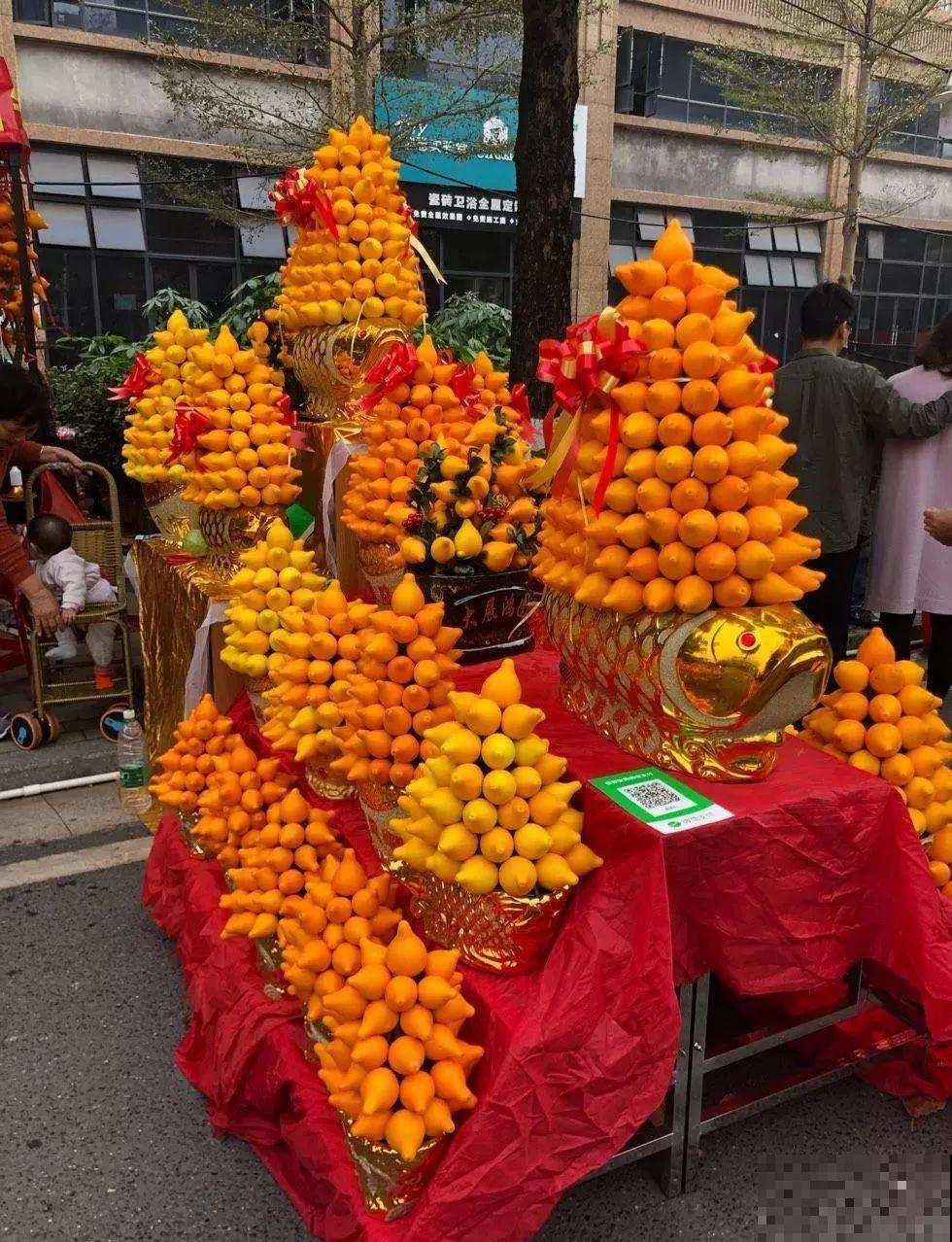 花市有你想象不到的魅力，便宜又好看，过年买回一大堆！