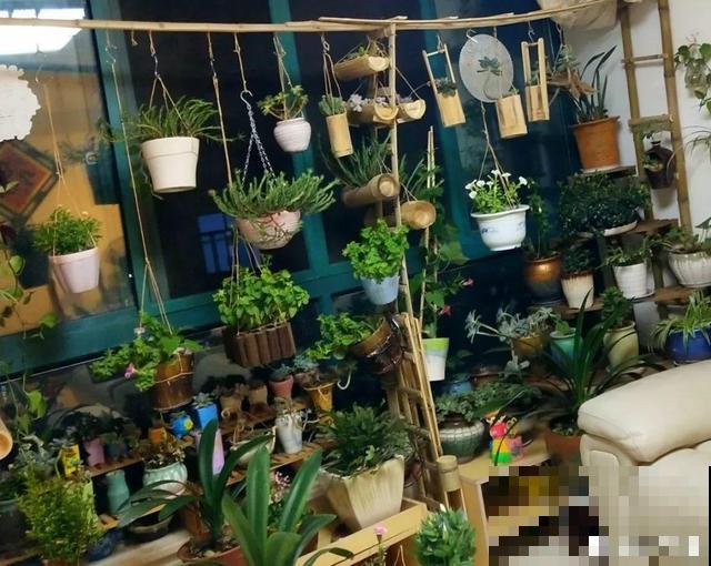 阳台再小也不怕，跟她学一招，把花挂起来养，不占地还好看！