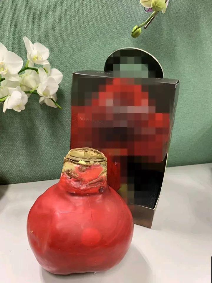 看见这花可别买，忍住，小心被忽悠，花钱买气受！