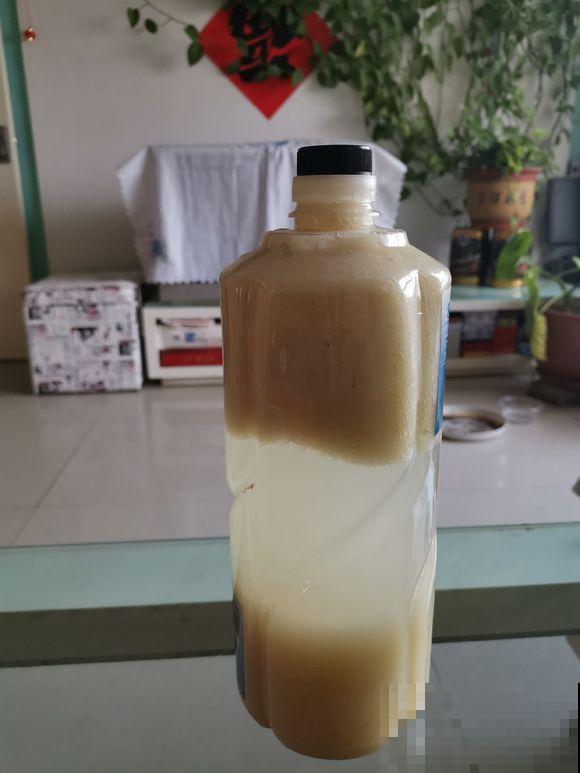自制大补肥，蟹爪兰每月来一勺，开花多得不见叶！