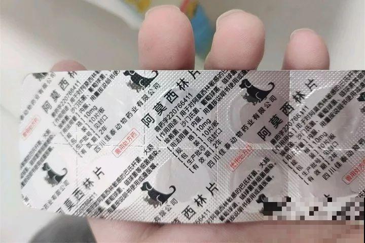 小药片磨成粉，兑水一浇，叶子油亮花开爆！
